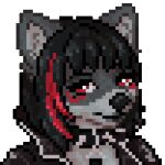 1:1 animated anthro black_hair blusagi canid canine canis clothing collar digital_media_(artwork) female fur hair highlights_(coloring) jacket leash leash_pull low_res mammal multicolored_body multicolored_fur pixel_(artwork) red_highlights solo spiked_collar spikes third-party_edit topwear veevers wolf