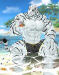  1boy abs absurdres alternate_costume animal_ears arknights bara beach black_male_swimwear black_shorts bulge coconut commentary_request crab day facial_hair furry furry_male goatee highres holding large_hands large_pectorals male_focus male_swimwear mountain_(arknights) muscular muscular_male navel navel_hair nipples outdoors palm_tree pectorals sand scar scar_across_eye scar_on_arm scar_on_face short_hair shorts sitting sky solo starfish stomach swim_briefs swim_trunks tail thick_eyebrows thick_thighs thighs tiger_boy tiger_ears tiger_tail topless_male tree warabi_mochi_(warabisuke) water white_fur white_hair 