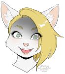  2021 alpha_channel blonde_hair digital_media_(artwork) domestic_cat felid feline felis green_eyes hair kittydee mammal open_mouth simple_background teeth tongue transparent_background 