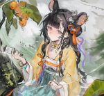  1girl absurdres animal_ears arknights black_hair braid chinese_clothes chinese_commentary closed_mouth commentary_request cowboy_shot expressionless food fruit grey_eyes hair_ornament hair_ribbon hairclip hanfu highres holding long_hair long_sleeves looking_at_viewer lutonada_(arknights) lutonada_(whispered_longing)_(arknights) mouse_ears mouse_girl official_alternate_costume ribbon sitting solo xiangchizhubijin yellow_hanfu 