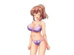  1girl :d ^_^ aomi_riru blush bra breasts brown_hair cleavage closed_eyes collarbone cowboy_shot game_asset hair_between_eyes large_breasts large_variant_set navel non-web_source official_art open_mouth panties ponytail purple_bra purple_panties self-datamine sidelocks simple_background smile solo standing tachi-e tan toriumi_hinata transparent_background underwear underwear_only variant_set yumemi_ga_cheek! 
