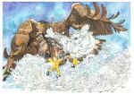  animal animal_focus bird border commentary_request day duel eagle failure flying_kick honjo_kei in_the_face jumping kicking no_humans open_mouth original outdoors predation rabbit signature snow traditional_media white_border white_rabbit_(animal) 