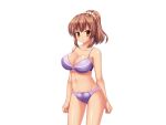  1girl :t angry aomi_riru blush bra breasts brown_eyes brown_hair cleavage closed_mouth collarbone cowboy_shot game_asset hair_between_eyes large_breasts large_variant_set navel non-web_source official_art panties ponytail purple_bra purple_panties self-datamine sidelocks simple_background solo standing tachi-e tan toriumi_hinata transparent_background underwear underwear_only v-shaped_eyebrows variant_set yumemi_ga_cheek! 