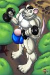  abs aidan_mouse anthro balls big_balls big_bulge big_muscles big_penis bird&#039;s-eye_view blue_eyes blush bulge chain chain_necklace claws dumbbell exercise feet forest fur genitals green_eyes growth hair hi_res high-angle_view huge_balls huge_bulge huge_muscles huge_penis humanoid_genitalia humanoid_penis hyper hyper_balls hyper_bulge hyper_genitalia hyper_penis jewelry macro male mammal mouse murid murine muscle_growth muscular muscular_anthro muscular_male muscular_thighs necklace nipples nude paws pecs penis plant rasmussen891 rodent smile solo standing tree weightlifting weights white_body white_fur workout 