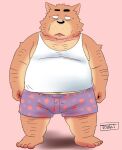  2022 anthro black_nose brown_body bulge canid canine canis clothing domestic_dog humanoid_hands kemono male mammal overweight overweight_male shirt simple_background solo topwear toshi_(artist) underwear 