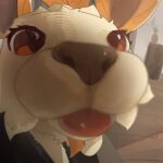 1:1 2026 alternate_color ambiguous_feral ambiguous_gender beady_eyes blep digital_drawing_(artwork) digital_media_(artwork) drawn_over eeveelution feral fisheye_lens fispoutthere front_view fur generation_4_pokemon hi_res leaf leaf_ears leaf_on_head leaf_tail leafeon leg_markings looking_at_viewer markings monotone_body monotone_fur nintendo open_mouth paws perspective pokemon pokemon_(species) quadruped shaded socks_(marking) soft_shading solo tail tan_body tan_fur tongue tongue_out