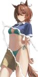  1girl agnes_tachyon_(umamusume) ahoge alternate_costume animal_ears bikini blue_shirt breasts brown_hair closed_mouth commentary_request frown green_bikini hair_between_eyes hand_on_own_arm high-waist_shorts highres horse_ears horse_girl horse_tail medium_breasts navel o_ko_ge2024 polo_shirt red_eyes shirt short_hair short_sleeves shorts solo stomach swimsuit tail umamusume yellow_shorts 