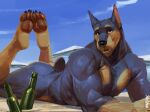  anthro beach biceps black_body black_fur black_nose bottle bubble_butt butt canid canine canis claws dobermann domestic_dog fur hi_res looking_at_viewer male mammal muscular mystikfox61 pinscher pose seaside yellow_body yellow_fur 