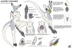  animal_genitalia anthro audrey_(lizet) breasts cloaca ears_back feet female fur fur_markings genitals hi_res kangaroo lizet macropod mammal markings marsupial model_sheet open_mouth pawpads paws pivoted_ears pouch_(anatomy) raised_tail red_kangaroo solo teeth text tongue 