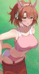  1girl ahoge alternate_costume animal_ears breasts brown_eyes brown_hair buruma checkered_ribbon commentary_request cowboy_shot dantsu_flame_(umamusume) drawstring dressing ear_covers green_ribbon hairband highres horse_ears horse_girl horse_tail large_breasts leaning_forward mayomaru1 medium_hair navel open_mouth pants pink_buruma pink_hairband pink_ribbon pink_sports_bra red_pants ribbon solo sports_bra tail umamusume 