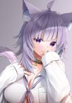  1girl absurdres ahoge animal_collar animal_ear_fluff animal_ears bangs black_collar blush breasts cat_ears cat_girl cat_tail closed_mouth collar eyebrows_visible_through_hair hands_up highres hololive large_breasts looking_at_viewer medium_hair nekomata_okayu purple_eyes purple_hair shirt simple_background sleeves_past_wrists smile solo tail tail_raised uetaku upper_body virtual_youtuber white_shirt 