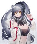  1girl animal_ear_fluff animal_ears arknights bangs black_scarf breasts brown_eyes cleavage ear_piercing eyebrows_visible_through_hair gradient gradient_background grey_background grey_hair hair_between_eyes hands_up hood hood_down hooded_jacket jacket kyouna long_hair long_sleeves looking_at_viewer medium_breasts navel open_clothes open_jacket parted_lips piercing ponytail puffy_long_sleeves puffy_sleeves scarf schwarz_(arknights) see-through see-through_sleeves solo upper_body very_long_hair white_background white_jacket 