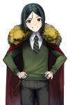  1boy bangs black_eyes blue_necktie borrowed_garments brown_hair brown_pants cape child cowboy_shot fate/zero fate_(series) fur_trim green_necktie green_sweater grin hands_on_hips highres looking_at_viewer male_focus necktie pants parted_bangs red_cape simple_background smile solo striped_necktie suzumetarou sweater teeth waver_velvet white_background 