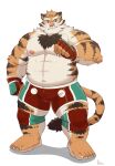  2022 anthro aotoaka belly bottomwear bulge clothing felid hi_res humanoid_hands kemono male mammal moobs nipples overweight overweight_male pantherine pink_nose shorts simple_background solo tiger white_background 