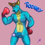  angry_furret animal_crossing anthro balls boxing_gloves clothing genitals handwear hi_res humanoid jock kangaroo macropod male mammal marsupial muscular muscular_anthro muscular_male nintendo penis rooney_(animal_crossing) solo vein veiny_penis video_games 