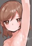  1girl absurdres aijou_karen arm_up armpits bangs breasts bright_pupils brown_eyes brown_hair closed_mouth commentary eyebrows_visible_through_hair goe_(g-o-e) grey_background highres light_blush looking_at_viewer medium_breasts nude out-of-frame_censoring portrait short_hair shoujo_kageki_revue_starlight simple_background solo steaming_body swept_bangs white_pupils 