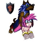  1:1 absurd_res amy_rose anthro bestiality clothing duo female female_on_feral feral hi_res humanoid interspecies knotalot male male/female rubber rubber_clothing rubber_suit sega sonic_the_dog sonic_the_hedgehog sonic_the_hedgehog_(series) transformation 