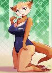  anthro big_breasts breasts cleavage clothed clothing female fur hi_res kneeling mammal melonleaf multicolored_body multicolored_fur nipple_outline one-piece_swimsuit solo swimwear 