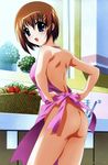  apron ass blue_eyes blush brown_hair from_behind highres lyrical_nanoha mahou_shoujo_lyrical_nanoha mahou_shoujo_lyrical_nanoha_a's mahou_shoujo_lyrical_nanoha_strikers naked_apron nude nude_filter short_hair solo third-party_edit watermark yagami_hayate 