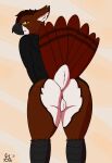  absurd_res anthro anus avian backsack balls beak bird bottomless butt clothed clothing digital_drawing_(artwork) digital_media_(artwork) feathers gale64 genitals hair hi_res jacket looking_at_viewer looking_back male presenting raised_tail scuted_arms signature solo tail_feathers topwear 