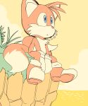  absurd_res anthro blue_eyes canid canine clothing cloud footwear fox fur gloves grass handwear head_tuft hi_res male mammal miles_prower orange_body plant sea sega shoes sitting sky solo sonic_the_hedgehog_(series) toryex tuft water white_body white_fur 