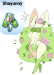  accessory anthro blush female flower flower_in_hair fluffy fluffy_tail fur fusion grass hair hair_accessory hi_res hot_legs hybrid leaf legendary_pok&eacute;mon long_ears lopunny nintendo open_mouth plant pok&eacute;mon pok&eacute;mon_(species) pok&eacute;mon_fusion puppychan48 shaymin simple_eyes solo tan_body tan_fur video_games 