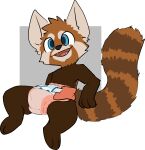  ailurid anthro blue_eyes diaper hi_res male mammal pink_diaper red_panda solo tropojet 