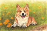  animal animal_focus colored_pencil_(medium) commentary_request daisy dirt dog flower foliage grass highres looking_at_viewer lying midori_(user_rfup2354) no_humans on_stomach original signature tongue tongue_out traditional_media welsh_corgi 