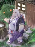  2022 anthro blush cai_yuwang clothed clothing detailed_background footwear humanoid_hands kemono male mammal outside overweight overweight_male raining sandals solo umbrella ursid white_body 