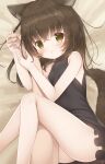  1girl 1other animal_ear_fluff animal_ears arm_hug between_legs black_dress brown_eyes brown_hair dog_ears dog_girl dog_tail dress highres legs long_hair looking_at_viewer lying on_side original pout pov psyche3313 short_dress sleeveless sleeveless_dress tail thighs 