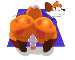  anthro balls big_butt blue_clothing butt butt_focus canid canine clothing fluffy fluffy_tail fox fur genitals hair hi_res hoodie huge_butt looking_at_viewer looking_back male male/male mammal orange_body orange_fur orange_hair patterned_fur penis red_fox saggy_balls sanssketches16 short_stack smug solo superiorfox_(superiorfoxdafox) thick_thighs topwear vein veiny_penis white_penis wide_hips 