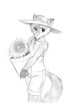  anthro black_and_white bottomwear canid canine chochi clothing flower flower_pot food fox fur hair looking_at_viewer male mammal mike_blade monochrome plant popsicle popsicle_in_mouth shirt shorts solo standing sun_hat sunflower topwear traditional_media_(artwork) 