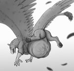  abdominal_bulge after_vore avian beak black_and_white butt feathers feral feral_pred flying gryphon hindpaw looking_back male monochrome mythological_avian mythology paws raised_tail talons thatgryphonguy vore wings 