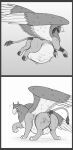  abdominal_bulge after_vore armor beak belly big_belly black_and_white butt comic duo feral feral_pred flying headgear helmet hi_res hindpaw jagg_(thatgryphonguy) looking_back male monochrome paws raised_tail sentient_fat surprised_expression thatgryphonguy unwilling_prey vore wings 