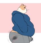  anal anthro bodily_fluids bottomwear buttplug clothed clothing cricetid erection ero_(character) eroborus genital_fluids hamster hand_in_pocket hi_res looking_at_viewer male mammal overweight overweight_male pants plug_(sex_toy) pockets precum rodent sex_toy solo sweat sweatshirt vibrator x-ray 
