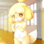  animal_crossing anthro blush breasts bunnag canid canine canis detailed_background domestic_dog female fur genitals hallway hi_res inside isabelle_(animal_crossing) looking_at_viewer mammal navel nintendo nipples nude open_mouth pussy shih_tzu small_breasts solo toy_dog video_games yellow_body yellow_fur 