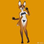  canid canine clothing female fox gynomorph intersex mammal swimwear 