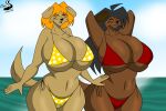  anthro bikini breasts canid canine canis chrisandcompany clothing domestic_dog duo female hair hi_res mammal swimwear 
