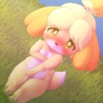  animal_crossing anthro areola areola_slip blush breasts bunnag canid canine canis covering covering_breasts covering_crotch covering_self domestic_dog female fur grass hi_res isabelle_(animal_crossing) looking_at_viewer mammal nintendo nude outside plant shih_tzu small_breasts solo toy_dog video_games yellow_body yellow_fur 
