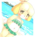  animal_crossing anthro beach bikini blush border bunnag canid canine canis clothing day domestic_dog female fur hands_behind_back hi_res isabelle_(animal_crossing) looking_at_viewer mammal navel nintendo outside sea seaside shih_tzu slightly_chubby smile solo standing swimwear toy_dog video_games water white_border yellow_body yellow_fur 