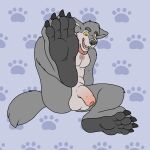  1:1 2017 4_toes anthro balls big_feet blueballs canid canine canis claws collar collar_only countershade_feet countershading feet foot_fetish foot_focus footprint foreskin genitals green_eyes hi_res humanoid_genitalia humanoid_penis looking_at_viewer male mammal multicolored_body nude open_mouth pawprint pawprint_marking paws penis raised_leg soles solo toe_claws toes two_tone_body wolf yellow_sclera 