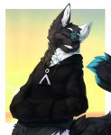  anthro black_body black_fur black_nose blue_body blue_fur border canid canine cheek_tuft clothing dipstick_tail eyebrows eyes_closed facial_markings facial_tuft fur gradient_background green_background hand_in_pocket head_markings hi_res hoodie inner_ear_fluff male mammal markings multicolored_body multicolored_fur neck_tuft pockets simple_background smile solo stargate tail_markings talilly teeth topwear tuft white_body white_border white_eyebrows white_fur yellow_background 