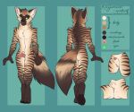  2017 aardwolf animal_genitalia animal_penis anthro brown_body brown_fur canine_penis casparr erection eunuch flaccid fluffy fluffy_tail fully_sheathed fur genitals green_background green_eyes hyaenid knot male mammal model_sheet nude penis pink_penis scar sheath simple_background solo striped_body striped_fur stripes 