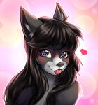 &lt;3 &lt;3_eyes abstract_background anthro bangs black_hair black_nose blue_eyes bust_portrait canid canine canis domestic_dog eyebrow_through_hair eyebrows eyelashes female hair hi_res inner_ear_fluff long_hair looking_at_viewer mammal pink_background portrait pupils sally_(fumingstone) simple_background smile solo symbol-shaped_pupils talilly tongue tongue_out translucent translucent_hair tuft unusual_pupils 