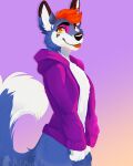  2022 4:5 absurd_res anthro blue_body blue_fur blue_tail canid canine canis clothing domestic_dog fur gradient_background hair happy hi_res hoodie husky male mammal nordic_sled_dog orange_hair simple_background smile solo spitz standing sureto thepurplerat tongue tongue_out topwear white_body white_fur 