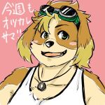  1:1 anthro blue_eyes blush canid canine canis clothing domestic_dog eyewear floppy_ears goggles hisaki_(live-a-hero) jewelry kinaisan22511 lifewonders live-a-hero male mammal necklace shirt solo tank_top topwear video_games 