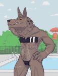  2022 anthro black_nose brown_body brown_fur canid canine clothing cloud detailed_background digital_media_(artwork) fangs female fence fur gris_swimsuit hi_res lifeguard_tower mammal nipples outside poolside scar sergeant_(xenopera) sky solo standing swimming_pool swimwear were werecanid werecanine werewolf xenopera yellow_eyes 