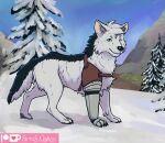  2021 black_body black_fur canid canine canis conditional_dnp fur mammal nakoo paws prosthetic prosthetic_limb white_body white_fur wolf 