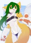  2022 4_fingers absurd_res anthro blep blush breasts clothing domestic_cat felid feline felis female fingers fluffy fur gloves_(marking) green_eyes green_hair gris_swimsuit hair hi_res inner_ear_fluff kemono long_hair low-angle_view mammal markings meme meme_clothing multicolored_body multicolored_fur multicolored_tail navel neck_tuft one-piece_swimsuit pawpads paws pink_nose portrait sollyz solo sundyz swimwear text three-quarter_portrait tongue tongue_out translucent translucent_clothing translucent_swimwear tuft two_tone_body two_tone_fur under_boob whiskers white_body white_fur yellow_body yellow_fur 