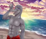  2021 anthro athletic beach blowhole blue_eyes bottlenose_dolphin cetacean clothed clothing deadliestvenom delphinoid detailed_background gesture grey_body half-length_portrait kajika_longfin male mammal marine oceanic_dolphin open_mouth portrait sea seaside solo sunset toothed_whale topless water waving 